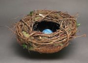 Mother Nest