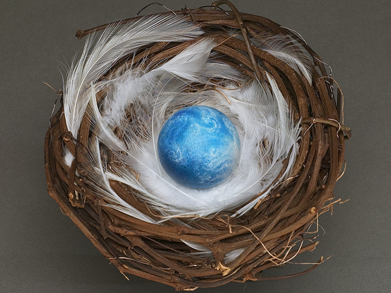 Holding Peace (top view)