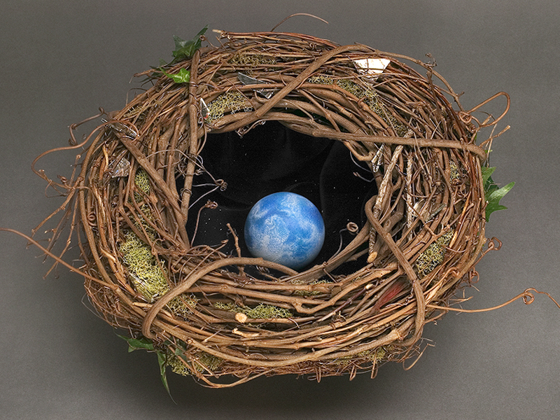 Mother Nest (top view)